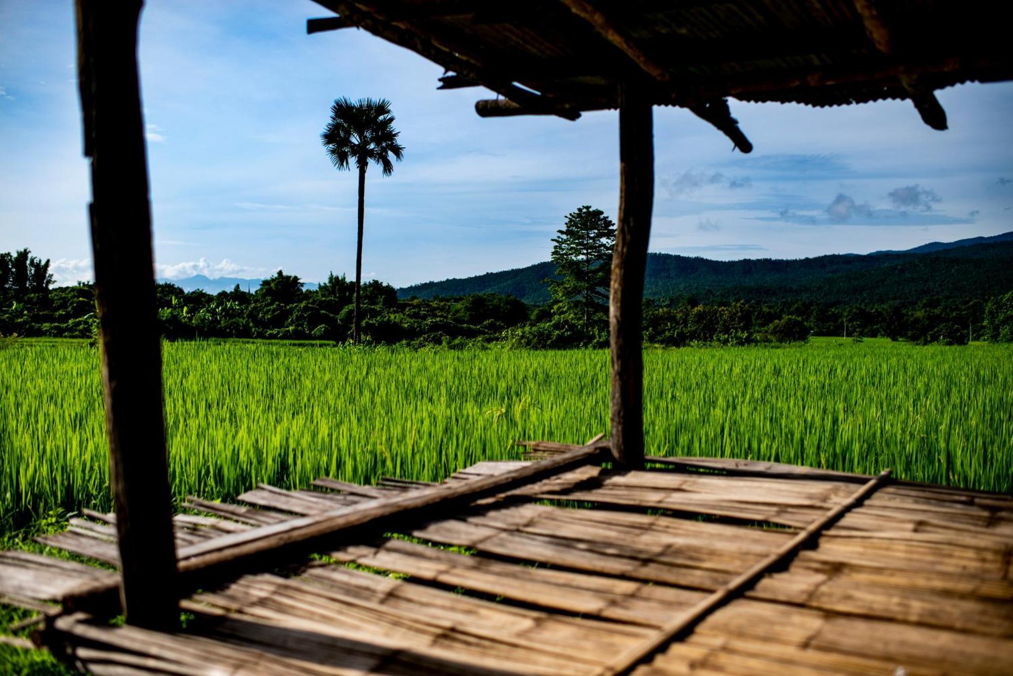 Suan Sook Homestay Chom Thong Exterior photo